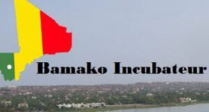 bamako inc
